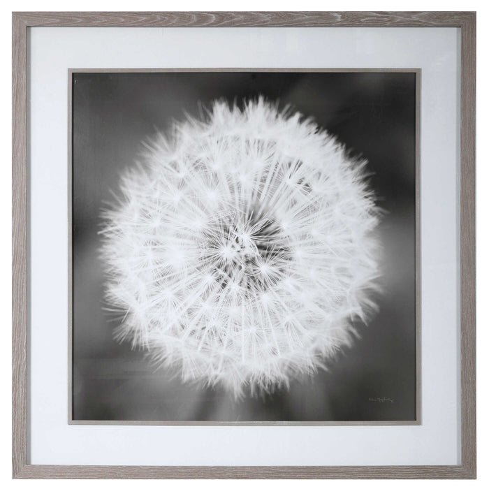 Dandelion Seedhead Framed Print Driftwood Look-Mirrors/Pictures-Uttermost-Lighting Design Store