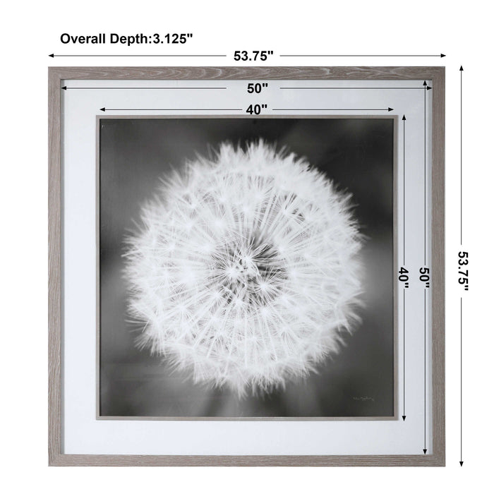 Dandelion Seedhead Framed Print Driftwood Look-Mirrors/Pictures-Uttermost-Lighting Design Store