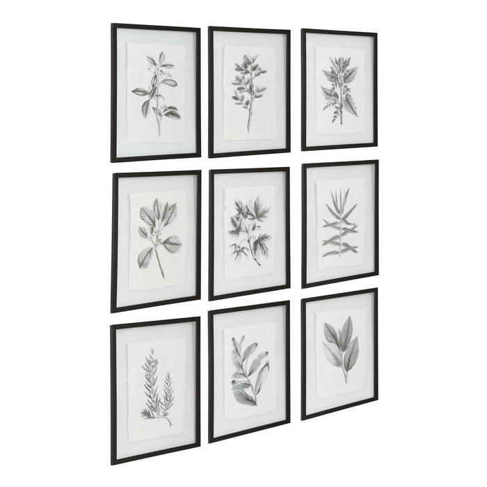 Farmhouse Florals Wall Art Matte Black-Mirrors/Pictures-Uttermost-Lighting Design Store