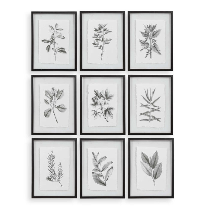 Farmhouse Florals Wall Art Matte Black-Mirrors/Pictures-Uttermost-Lighting Design Store