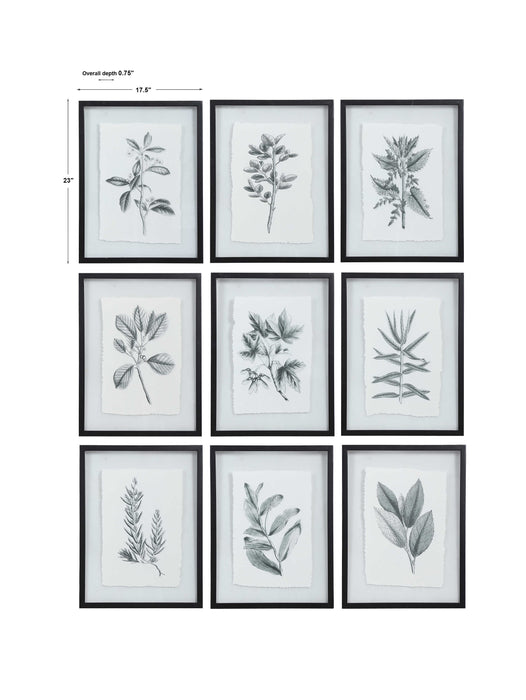 Farmhouse Florals Wall Art Matte Black-Mirrors/Pictures-Uttermost-Lighting Design Store