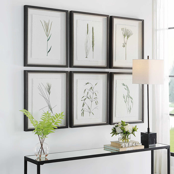Forest Finds Framed Prints, S/6 Dark Espresso-Mirrors/Pictures-Uttermost-Lighting Design Store