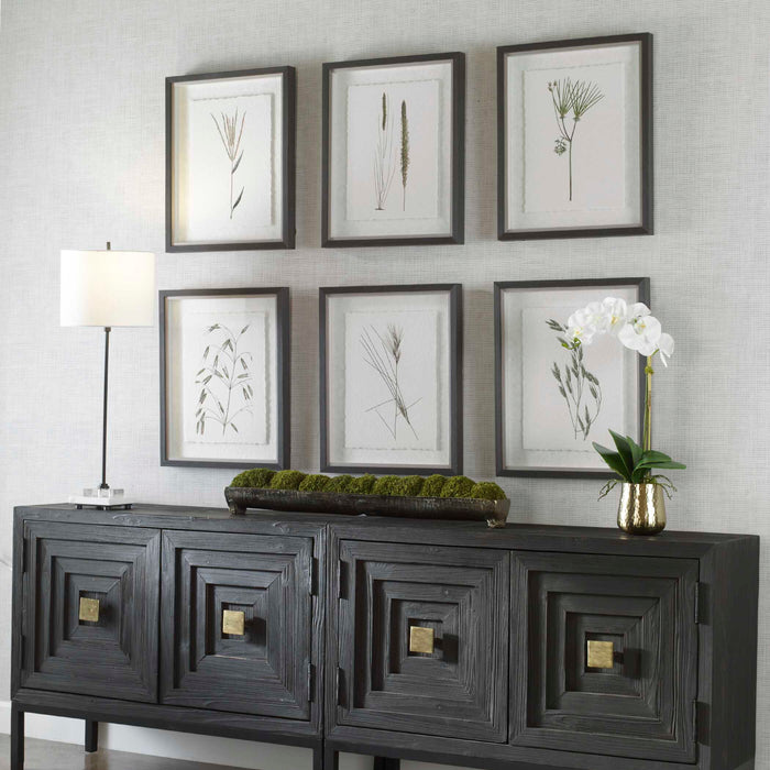 Forest Finds Framed Prints, S/6 Dark Espresso-Mirrors/Pictures-Uttermost-Lighting Design Store