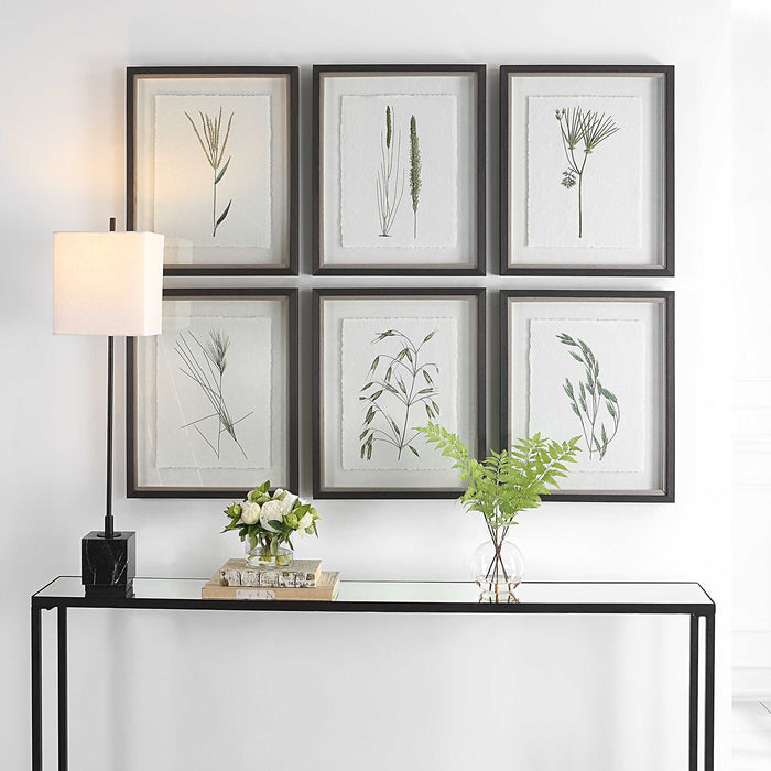 Forest Finds Framed Prints, S/6 Dark Espresso-Mirrors/Pictures-Uttermost-Lighting Design Store