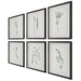 Forest Finds Framed Prints, S/6 Dark Espresso-Mirrors/Pictures-Uttermost-Lighting Design Store