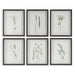 Forest Finds Framed Prints, S/6 Dark Espresso-Mirrors/Pictures-Uttermost-Lighting Design Store
