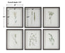 Forest Finds Framed Prints, S/6 Dark Espresso-Mirrors/Pictures-Uttermost-Lighting Design Store