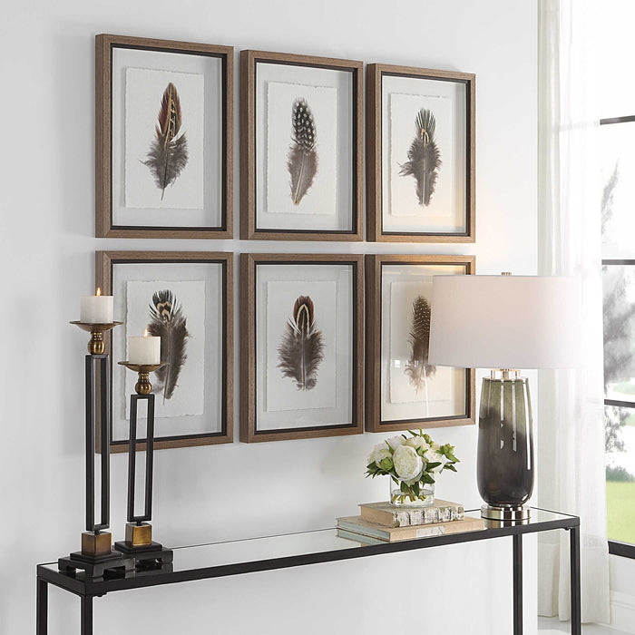 Birds Of A Feather Framed Prints, S/6 Natural Wood Tone-Mirrors/Pictures-Uttermost-Lighting Design Store