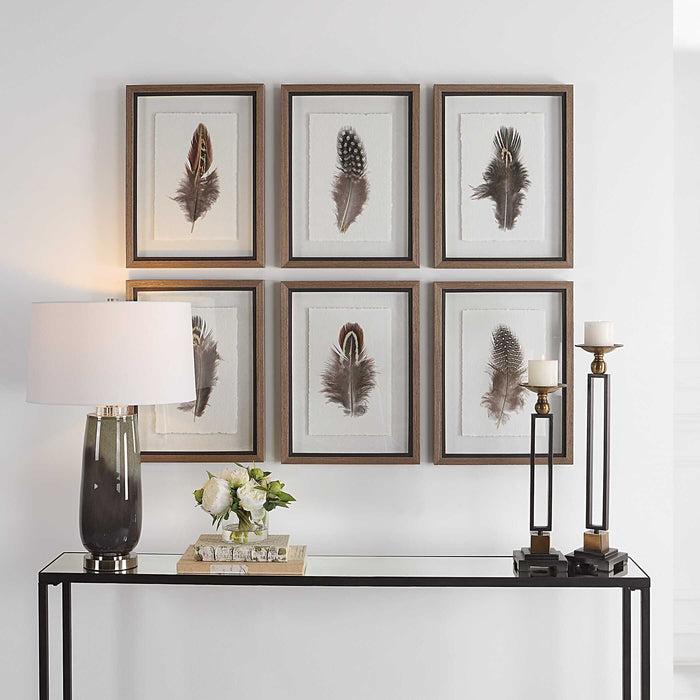 Birds Of A Feather Framed Prints, S/6 Natural Wood Tone-Mirrors/Pictures-Uttermost-Lighting Design Store