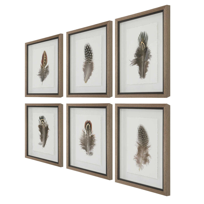 Birds Of A Feather Framed Prints, S/6 Natural Wood Tone-Mirrors/Pictures-Uttermost-Lighting Design Store