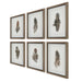 Birds Of A Feather Framed Prints, S/6 Natural Wood Tone-Mirrors/Pictures-Uttermost-Lighting Design Store