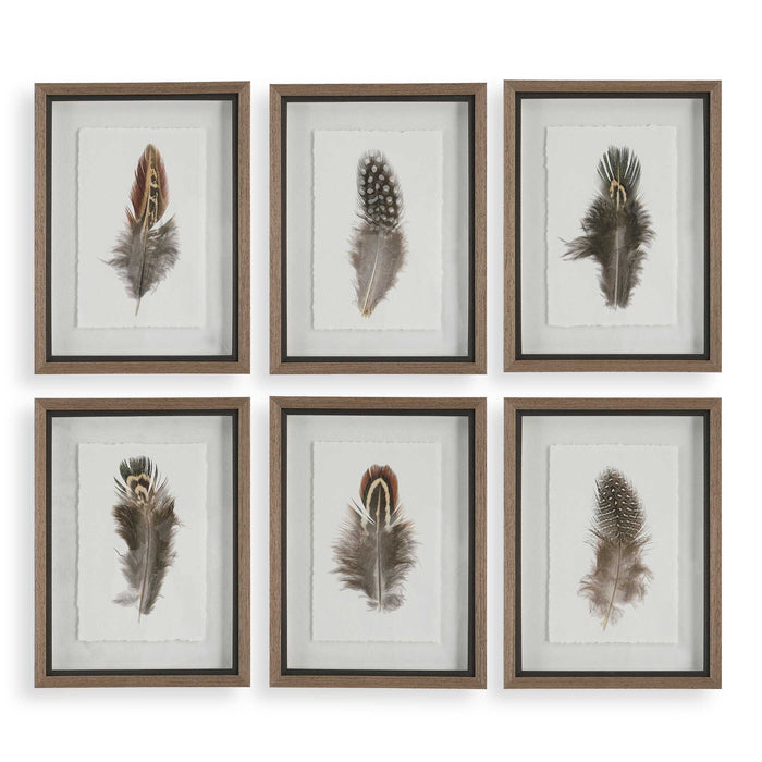 Birds Of A Feather Framed Prints, S/6 Natural Wood Tone-Mirrors/Pictures-Uttermost-Lighting Design Store