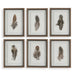 Birds Of A Feather Framed Prints, S/6 Natural Wood Tone-Mirrors/Pictures-Uttermost-Lighting Design Store