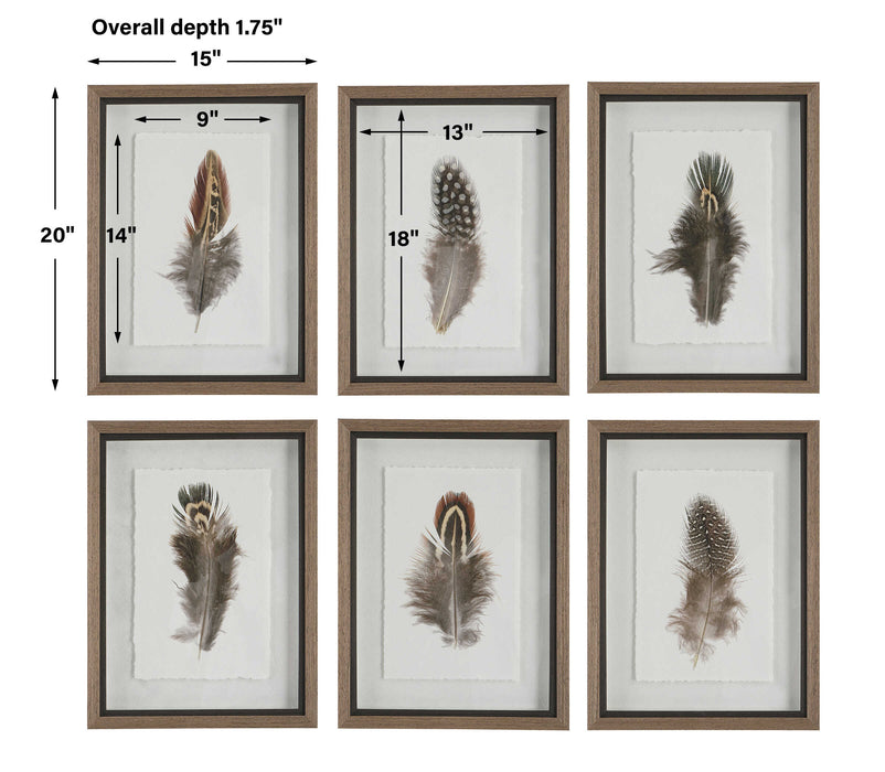 Birds Of A Feather Framed Prints, S/6 Natural Wood Tone-Mirrors/Pictures-Uttermost-Lighting Design Store