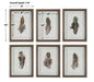Birds Of A Feather Framed Prints, S/6 Natural Wood Tone-Mirrors/Pictures-Uttermost-Lighting Design Store