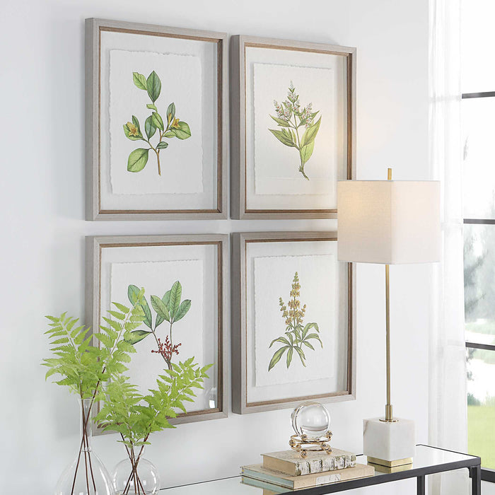 Wildflower Study Framed Prints, S/4 Light Gray-Mirrors/Pictures-Uttermost-Lighting Design Store