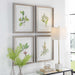 Wildflower Study Framed Prints, S/4 Light Gray-Mirrors/Pictures-Uttermost-Lighting Design Store