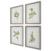 Wildflower Study Framed Prints, S/4 Light Gray-Mirrors/Pictures-Uttermost-Lighting Design Store