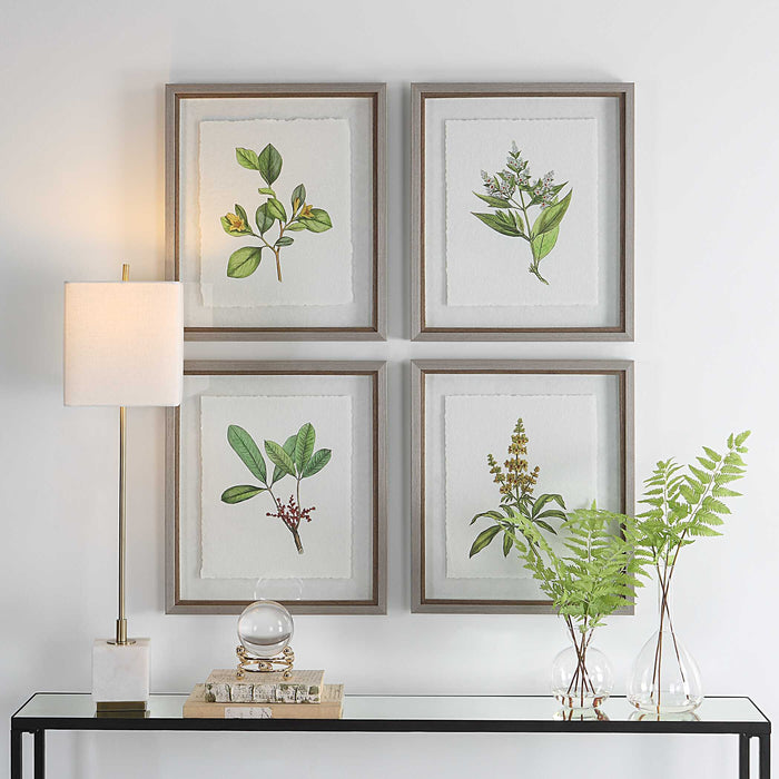 Wildflower Study Framed Prints, S/4 Light Gray-Mirrors/Pictures-Uttermost-Lighting Design Store