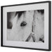 Eye Of The Beholder Framed Print Satin Black Chamfered Edge-Mirrors/Pictures-Uttermost-Lighting Design Store
