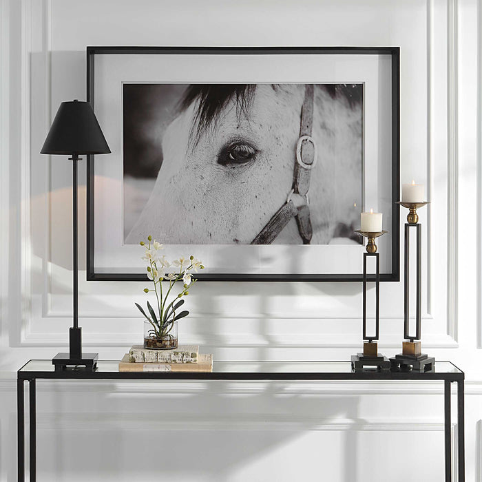 Eye Of The Beholder Framed Print Satin Black Chamfered Edge-Mirrors/Pictures-Uttermost-Lighting Design Store