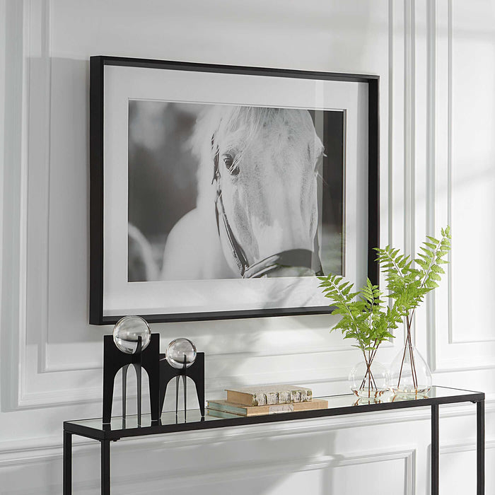 Eyes On The Prize Framed Print Satin Black Chamfered Edge-Mirrors/Pictures-Uttermost-Lighting Design Store