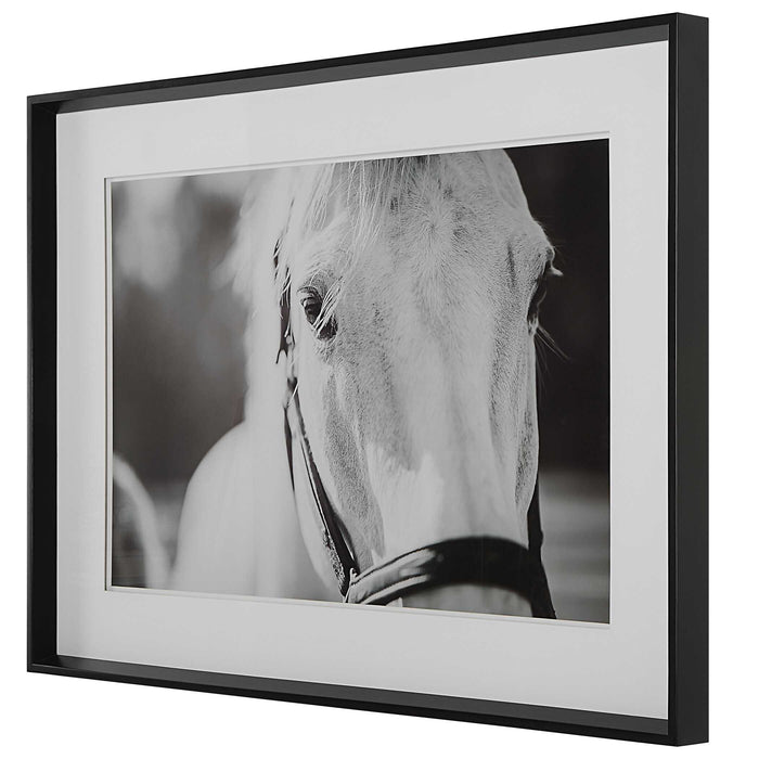 Eyes On The Prize Framed Print Satin Black Chamfered Edge-Mirrors/Pictures-Uttermost-Lighting Design Store