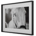 Eyes On The Prize Framed Print Satin Black Chamfered Edge-Mirrors/Pictures-Uttermost-Lighting Design Store