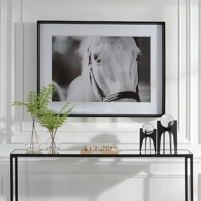 Eyes On The Prize Framed Print Satin Black Chamfered Edge-Mirrors/Pictures-Uttermost-Lighting Design Store