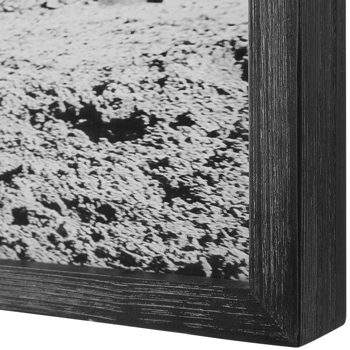 Galloping Forward Wall Art Pine Wood-Mirrors/Pictures-Uttermost-Lighting Design Store