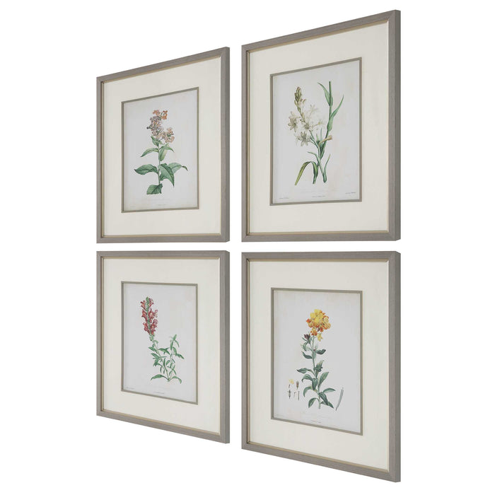 Heirloom Blooms Framed Prints Set/4 Gray-Mirrors/Pictures-Uttermost-Lighting Design Store