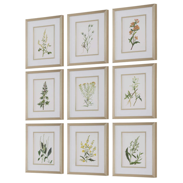 Botanical Flowers Framed Prints, S/9 Champagne Gold-Mirrors/Pictures-Uttermost-Lighting Design Store