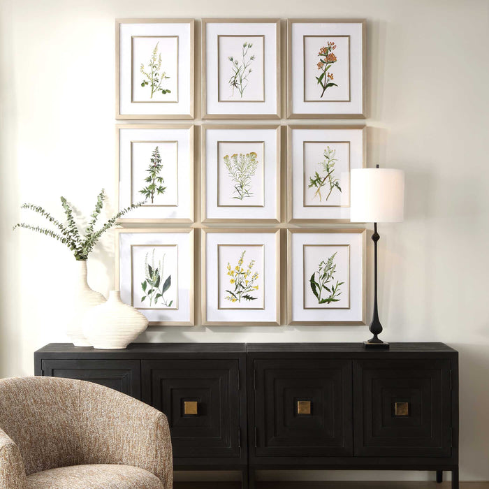 Botanical Flowers Framed Prints, S/9 Champagne Gold-Mirrors/Pictures-Uttermost-Lighting Design Store