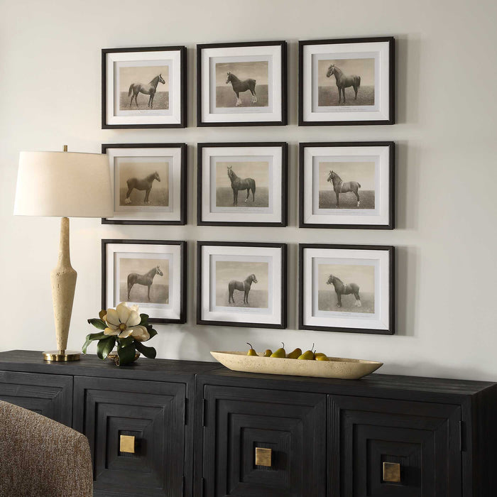 Equine Dynasty Framed Prints, S/9 Dark Walnut-Mirrors/Pictures-Uttermost-Lighting Design Store