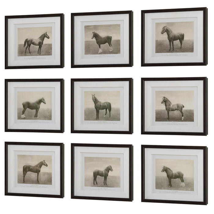 Equine Dynasty Framed Prints, S/9 Dark Walnut-Mirrors/Pictures-Uttermost-Lighting Design Store
