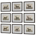 Equine Dynasty Framed Prints, S/9 Dark Walnut-Mirrors/Pictures-Uttermost-Lighting Design Store