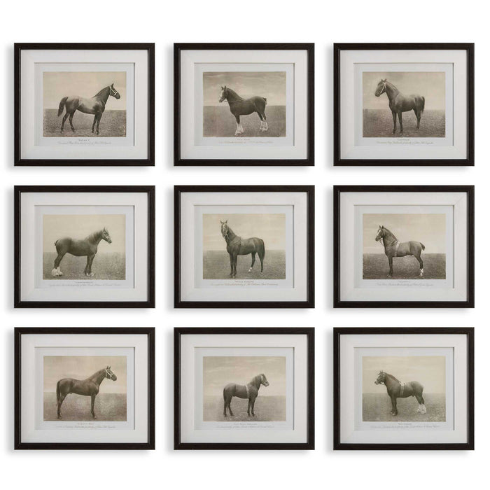 Equine Dynasty Framed Prints, S/9 Dark Walnut-Mirrors/Pictures-Uttermost-Lighting Design Store