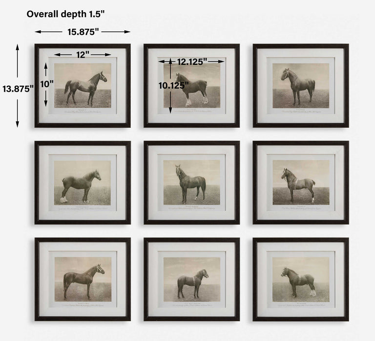 Equine Dynasty Framed Prints, S/9 Dark Walnut-Mirrors/Pictures-Uttermost-Lighting Design Store