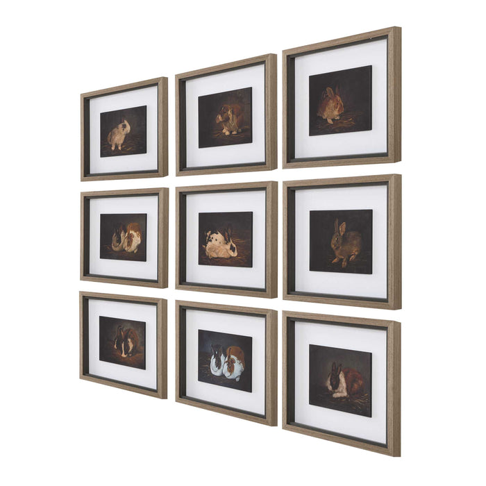 Resting Bunny Framed Print-Mirrors/Pictures-Uttermost-Lighting Design Store