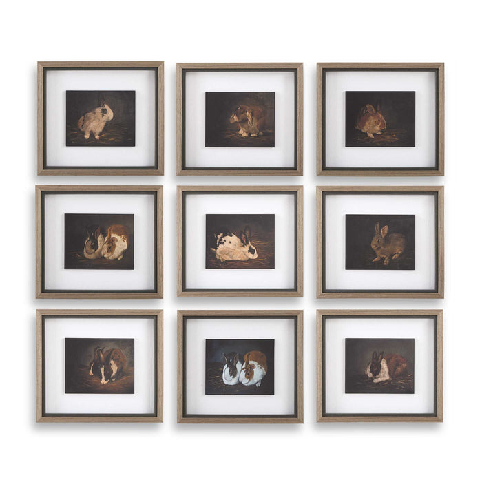 Resting Bunny Framed Print-Mirrors/Pictures-Uttermost-Lighting Design Store