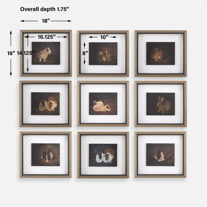 Resting Bunny Framed Print-Mirrors/Pictures-Uttermost-Lighting Design Store