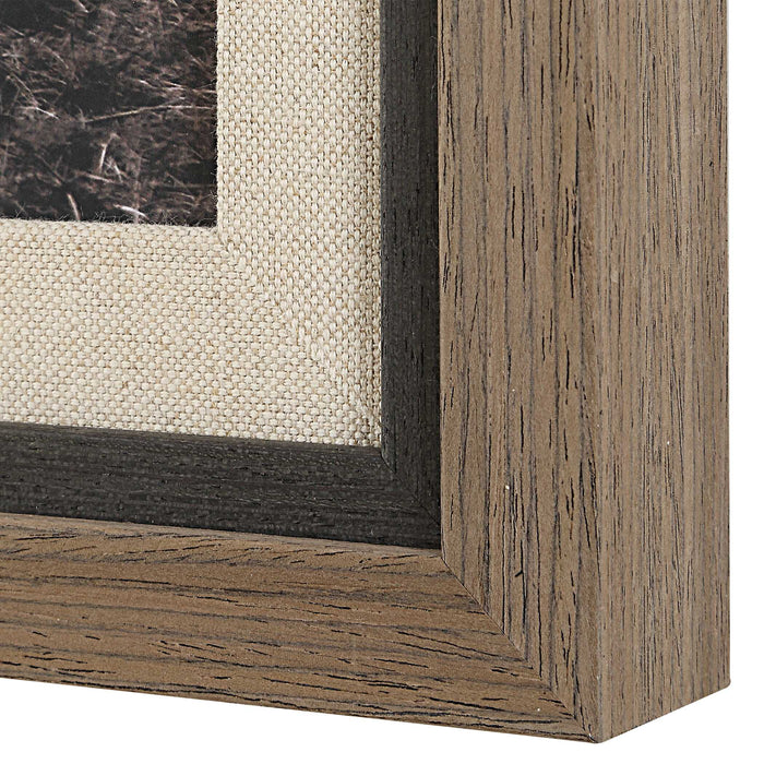 King Of The Hill Framed Print-Mirrors/Pictures-Uttermost-Lighting Design Store