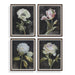 Florals On Black Framed Prints, Set/4 Dark Brown-Home Accents-Uttermost-Lighting Design Store