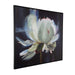 Peony Wall Art Black-Mirrors/Pictures-Uttermost-Lighting Design Store