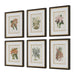 Orchid Framed Prints Set/6-Home Accents-Uttermost-Lighting Design Store
