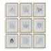 Nature's Framed Botanical Prints Set/9 Gold-Home Accents-Uttermost-Lighting Design Store