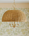 Arwen Four Light Chandelier-Mini Chandeliers-Mitzi-Lighting Design Store