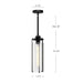 Belmont One Light Pendant Clear Water Glass/Matte Black-Mini Pendants-Alora-Lighting Design Store