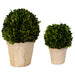 Preserved Boxwood Preserved Boxwood Set/2 Stone-Home Accents-Uttermost-Lighting Design Store