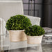 Preserved Boxwood Preserved Boxwood Set/2 Stone-Home Accents-Uttermost-Lighting Design Store